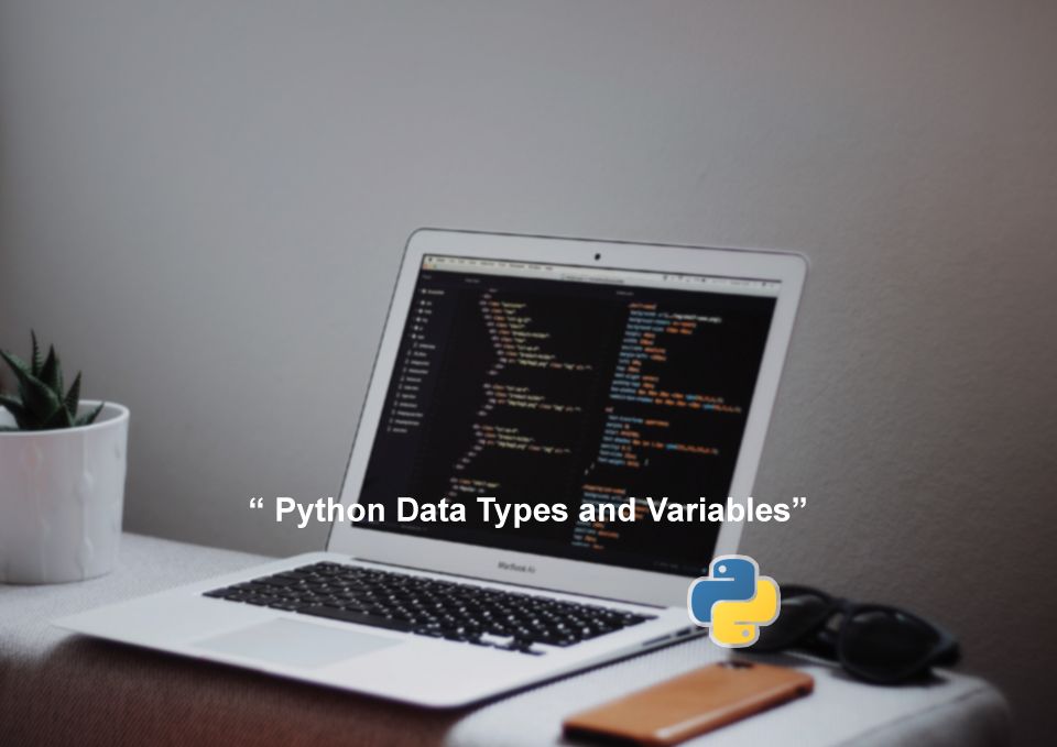 Python Data Types and Variables